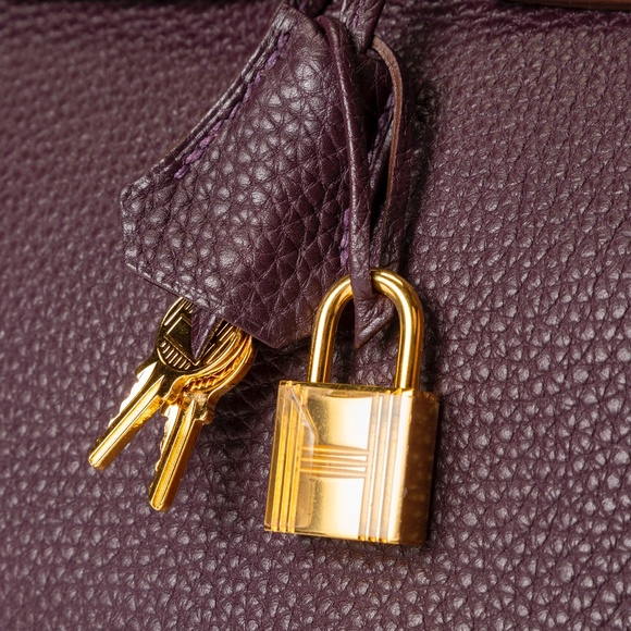HERMES Raisin Togo Birkin 35cm Gold Hardware - Picture 10 of 11